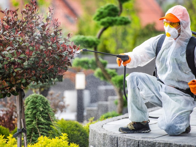 Mudanya Haşere İlaçlama