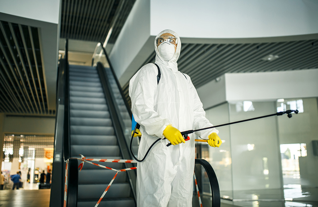 Mudanya Haşere İlaçlama